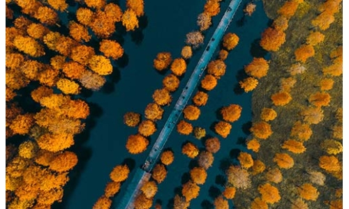 环保人的“六一+六五”